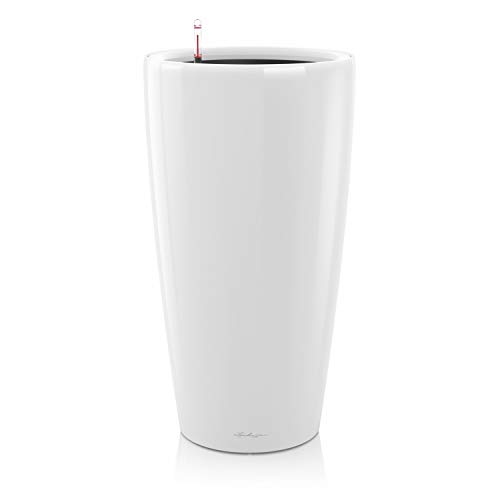 Lechuza Vaso