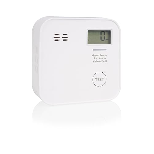 Smartwares Detector de CO - pilha de 10 anos, ecrã e indicador LED, botão de teste - FGA-13091