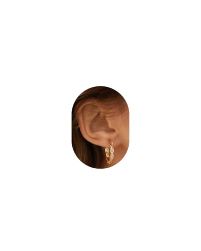 Macachii Brincos mulher prateada, brincos aros de prata mulher, aros hipoalergénicos para mulher, brincos prateados de lei 925, grandes brincos dourados 14K, brincos aros dourados 20/30 mm