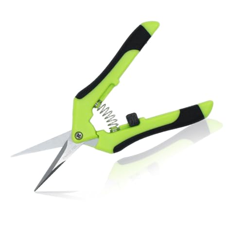 SHUNCHG Tesouras de podar pequena para jardinagem, inoxidável tesoura podar, tesouras de poar jardinagem jardinagem para plantas flores sebe frutas árvore flor ramos