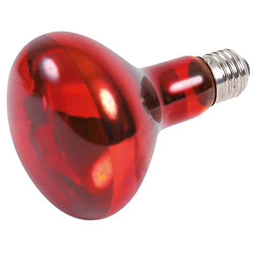 Trixie Candeeiro aquecedor infravermelho, ø80 x 110 mm, 100 W