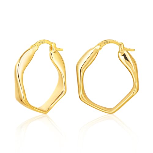 ALEXCRAFT Brincos mulher prateada, brincos aros grossos, brincos geométricos ouro 14 quilates, presentes de jóias