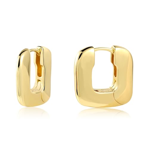 ALEXCRAFT Brincos mulher prateada, brincos aros grossos, brincos geométricos ouro 14 quilates, presentes de jóias