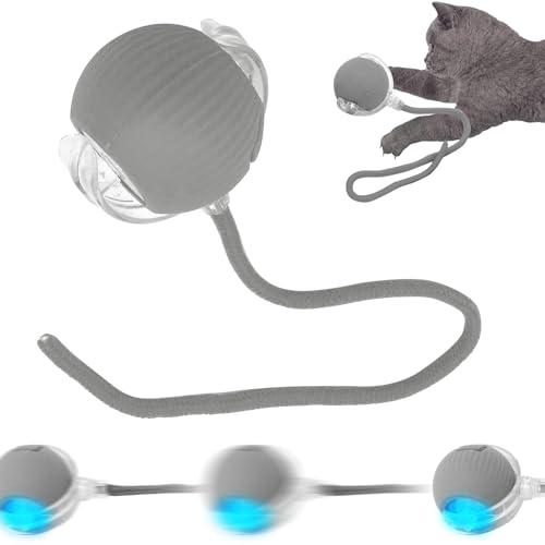 SORNEICDR Nova bola interativa para gatos, bola de brinquedo com corda, bola de brinquedo interativa de 360°, bola de rolamento automática inteligente para gato e cães (cinzento)