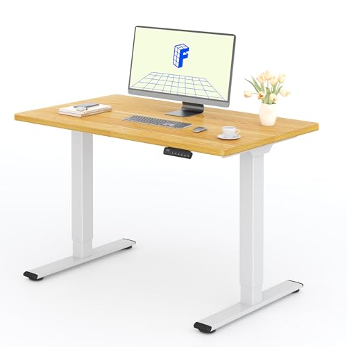 FLEXISPOT Mesa de secretária elétrica com placa inteira (bordo, 120 x 80 cm) Standing Desk, mesa de secretária elevável 71 - 121 cm com 4 opções de memória inteligente para escritório e casa