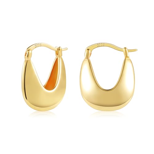 ALEXCRAFT Brincos mulher prateada, brincos aros grossos, brincos geométricos ouro 14 quilates, presentes de jóias