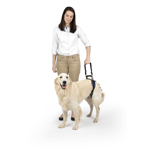 PetSafe CareLift Arnês de elevação traseira para cães, arnês de suporte com alça e alça, cães com deficiência ou idosos, material respirável e confortável, fácil de ajustar, cão grande