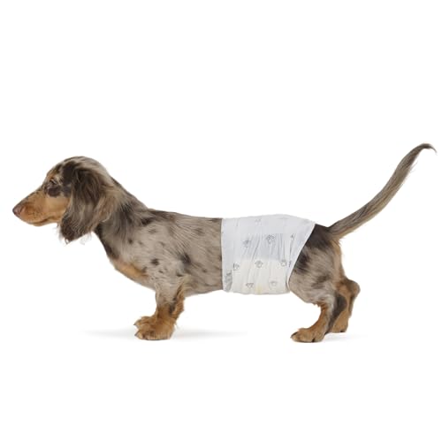 Amazon Basics Fraldas descartáveis para cães macho, S, pacote de 30, cor branca
