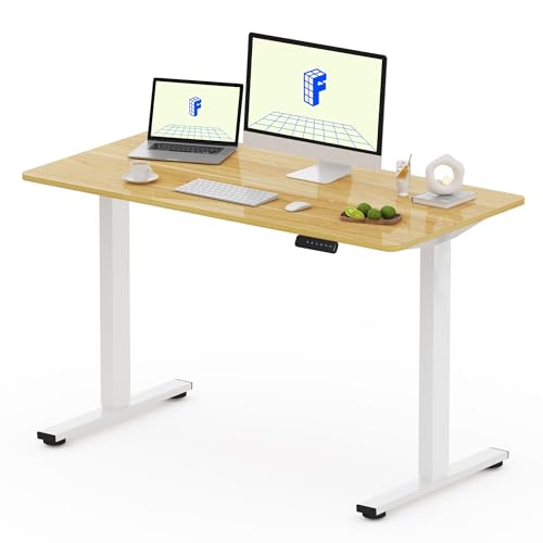 FLEXISPOT FQ Pro Mesa elevável elétrica, 120 x 60 cm, mesa levantável com placa inteira, retrocesso de camurça obstáculos, 4 funções de memória, Standing Desk para escritório, casa e teletrabalho