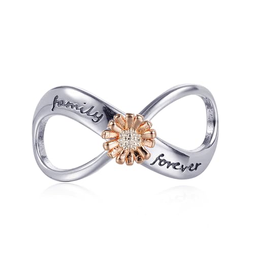 Rimgoris Prata de lei 925 Charm para mulher pulseiras colar infinito coração família fecho corrente de segurança impressão de cão osso moeda família amigo para sempre balão de ar quente casa