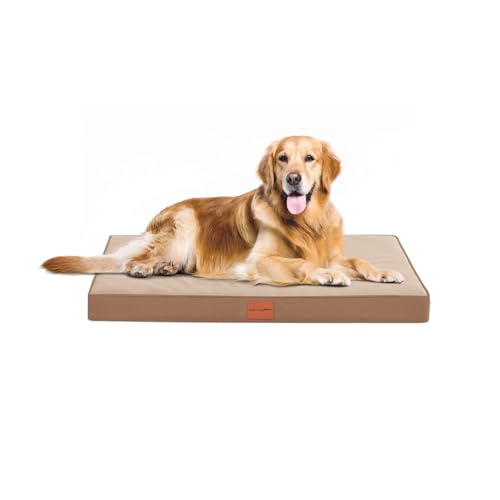 WAVVE Cama ortopédica cão grande 91 x 69 x 7,6 cm, colchão cão impermeável lavável, sofá cão ortopédica removível, tapete cão com espuma de caixa de ovos, castanho