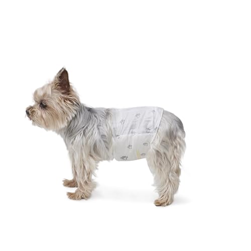 Amazon Basics Fraldas descartáveis para cães macho, XS, pacote de 30, cor branca