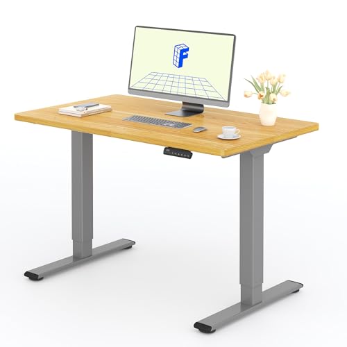 FLEXISPOT Mesa elétrica elevável, 120 x 80 cm, com placa inteira com 2 motor, Standing Desk, mesa elevável de secretária com 4 opções de memória inteligente para escritório e casa - ácer