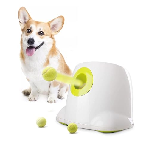 ALL FOR PAWS Lançador de bolas automático para cães, máquina interativa de lançar bolas com 3 bolas de ténis de 2" incluídas, para cães pequenos e médios, brinquedo interativo para cães