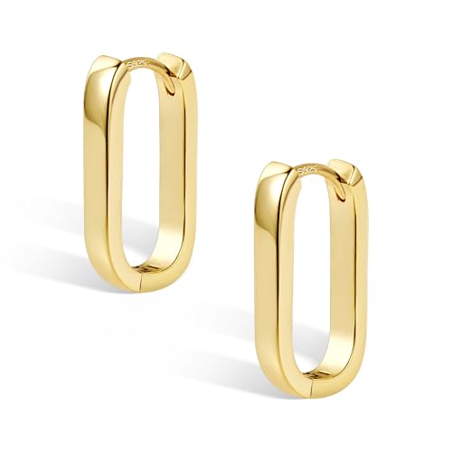 ALEXCRAFT Brincos mulher prateada, brincos aros grossos, brincos geométricos ouro 14 quilates, presentes de jóias