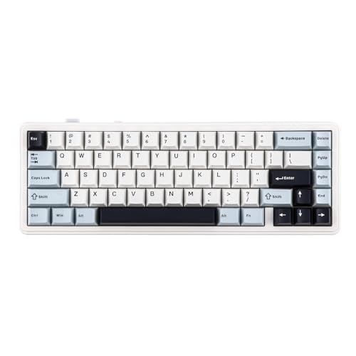EPOMAKER x Sala de aula F65 teclado mecânico sem fios, gaming e personalizado. Gasket Teclado Hot Swap com RGB, Bluetooth/2,4 GHz/cabo, switch lineares lubrificados (azul gelado, Reaper Switch)