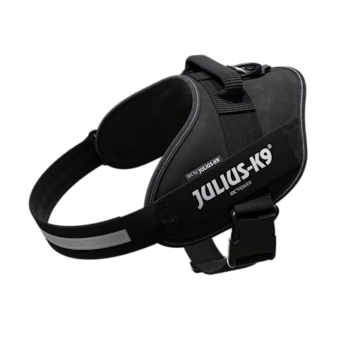 Julius-K9 16IDC - Power Harness