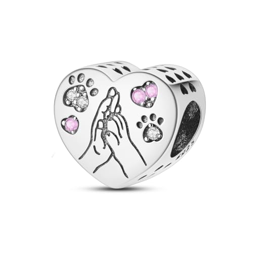 XWN Charms Abalorios Colgante para mujer, plata de ley 925, compatible con pulseras y collares Pandora, compatible con pulseras europeas para mujeres y niñas X1