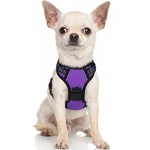 rabbitgoo Arnês cão pequeno, arnês antipuxões carro com linhas refletoras, colete de gato acolchoado ajustável respirável com alça e anéis para adiesdireamento correr tamanho XS roxo