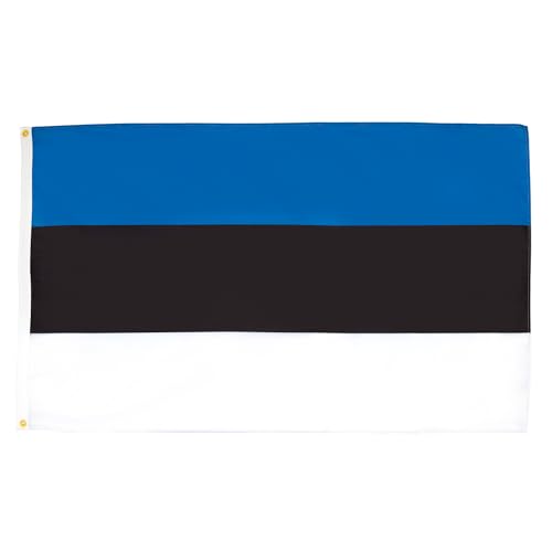 AZ FLAG Lote de 2 bandeiras da Estónia, 90 x 60 cm, bandeira da Estónia, 100% poliéster, com ilhós metálicos integrados