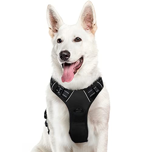 Eagloo Arnês para cães, colete anti-puxões confortável, com alça ajustável no pescoço e peito, apto para cães pequenos, material duradouro e respirável, com fita refletora, adequado para exercício no exterior, laranja