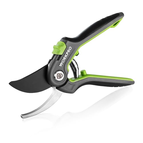 WORKPRO Tesoura de podar de 210 mm, tesouras de poder Bypass profissionais com lâmina SK5, tesouras curva de corte de 19 mm, ferramenta de jardim, ideal para enxertar, podar, tesouras de podar para