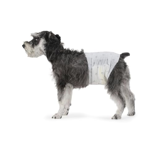 Amazon Basics Fraldas descartáveis para cães macho, M, pacote de 30, cor branca