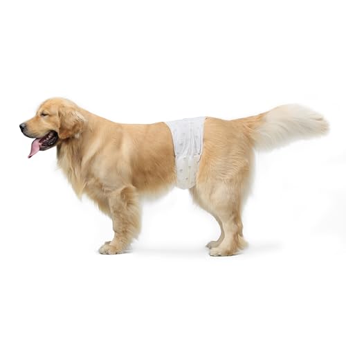 Amazon Basics Fraldas descartáveis para cães macho, L, pacote de 30, cor branca