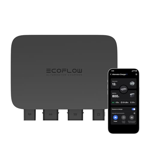 Carregador alternado EcoFlow de 800 W, carregador rápido CC-CC tipo 3 em 1 para estação de energia portátil, mantenedor de veículo de bateria e dispositivo de inicialização, carregamento de 1kWh em
