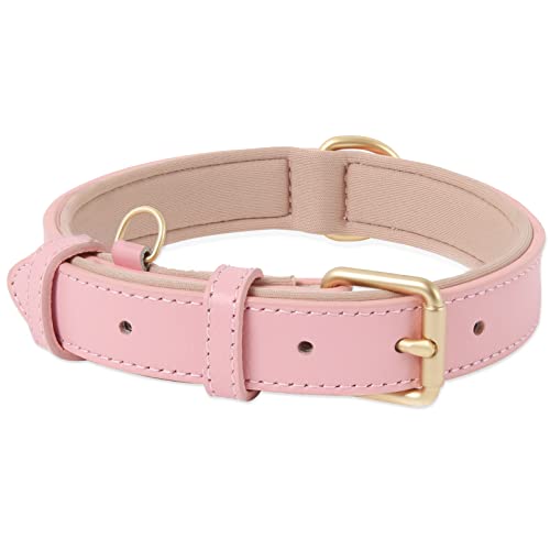 HEELE Coleira de cão, coleira de cão confortável e durável, ajustável e com acolchoado suave, coleira de couro cães de raça pequenos médios e grandes, rosa, S