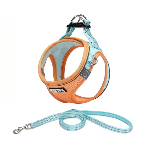 DORAMIO Arnês de cão pequeno, arnês antipuxões refletor confortável respirável arnês colete para cães pequenos gatos, cachorros (M, azul laranja)
