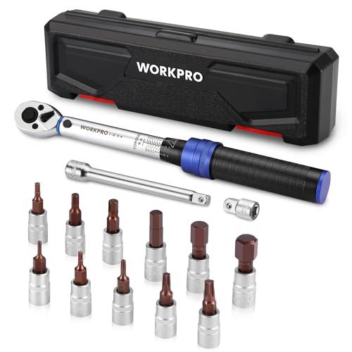WORKPRO Chave dinamométrica de 1/4", ± 3% de alta precisão, 2-26 N·m, conjunto de dinamométrica de 14 peças, chave de arraca de 72 dentes, com barra de extensão, para carro, bicicleta e mota