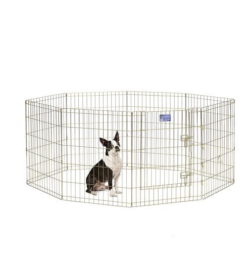 MidWest Modelo 542-30 parque ou corralito para cães, metálico, dobrável e com porta, 60,96 x 76,2 cm (largura x altura), acabamento em zinco dourado