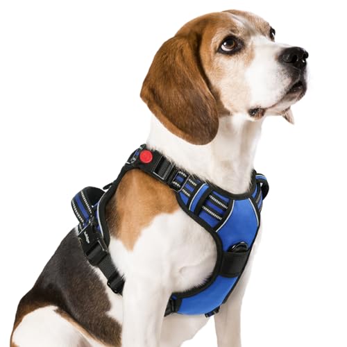 rabbitgoo Arnês médio para cão com 3 fivelas, libertação do pescoço, arnês ajustável com alça e clipe frontal, arnês antipuxões para cães refletor, para treino correr, azul, M