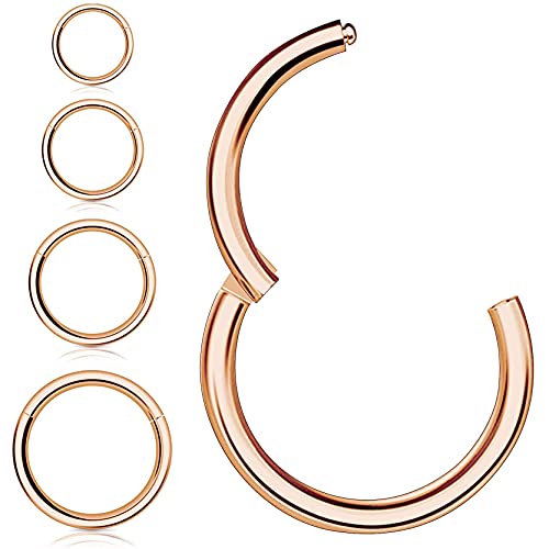 Kucheed 4 Argolas para o nariz, brincos de aro, aço cirúrgico 316L, sem fim com dobradiça, para lábios,18 G-16 G, brincos para mulheres e homens