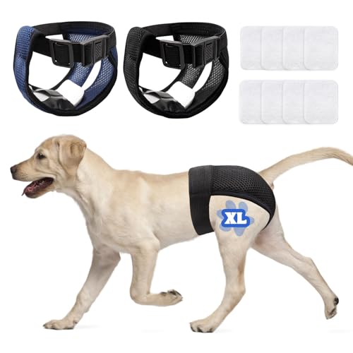 2 peças cuecas s menstruais, fraldas para cão feminino, fraldas para cães femininos, fraldas para cães femininos, cuecas para cães com céu feminino traz 8 toalhas sanitárias, reutilizável e