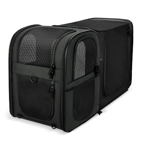 APOLLO WALKER Mochilas para gatos e mochilas para cães, para animais de estimação gato grandes e pequenos (2-15 kg), malha respirável, ideal para caminhadas (expansão preta)