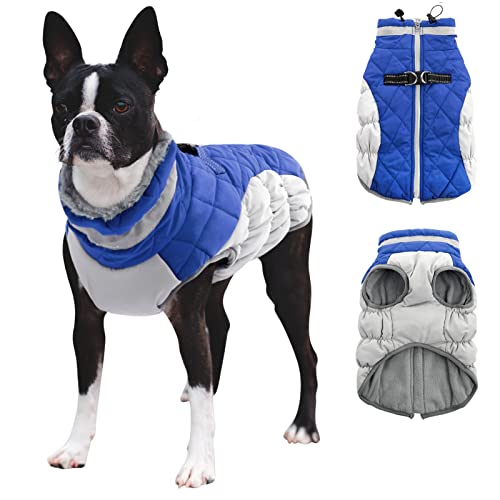 CITÉTOILE Casaco de inverno para cães, casaco impermeável com arnês e forro polar, para cães pequenos, azul, tamanho S