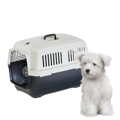 Ferplast Transportador gato Clipper 3, IATA, transporte cão pequeno e gatos até 15 kg, transporte rígido, viagem animais de estimação carro avião comboio, 64 x 43 x 43 cm, porta de aço, fecho seguro