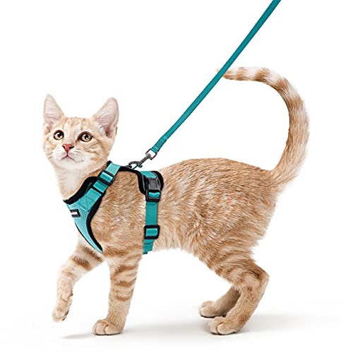 Rabbitgoo Peitoral para gatos e trela de 150 cm, ajustável, anti-puxões, confortável, material fácil de colocar e remover