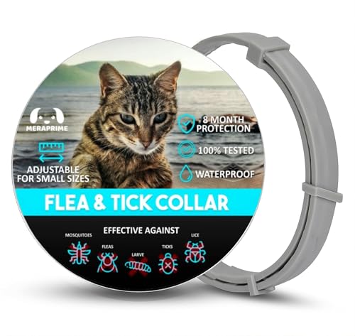 Colar antiparasitário, gatos, desparasitante, gatos, mosquitos, pulgas e carraços, colar anti-parasitação, gato - 38 cm ajustável, 8 meses, repelente de legumes, impermeável