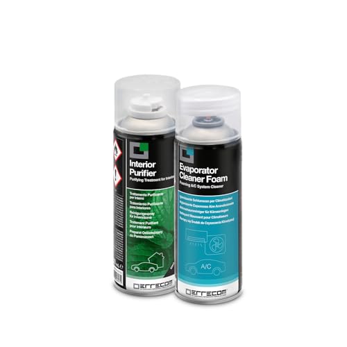 Errecom Total Care, tratamento purificador completo para sistemas de ar condicionado de automóveis e habitáculos, fragrância de hortelã, 2 frascos de 200 ml