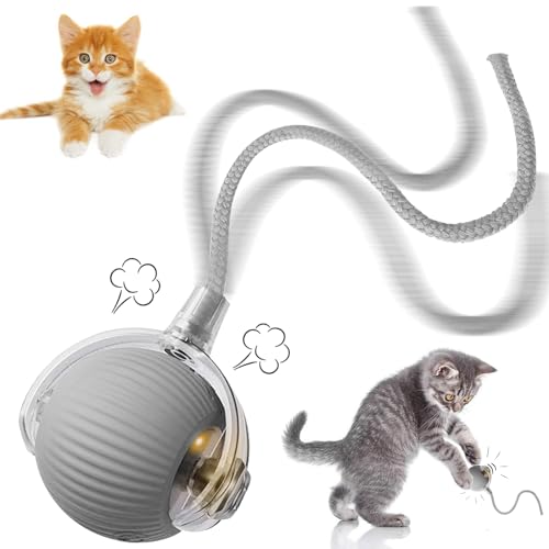 STFYUG Bola interativa cão gatos, bola viva para gato, bola gatos interativo, bola viva para gato com cauda para gatos, brinquedos para gatos Interaction Perfect for Cat Lovers (cinzento)