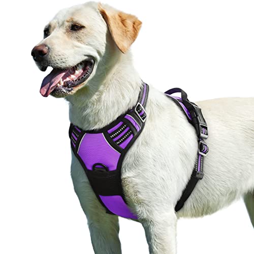 Eagloo Arnês para cães, colete anti-puxões confortável, com alça ajustável no pescoço e peito, apto para cães pequenos, material duradouro e respirável, com fita refletora, adequado para exercício no exterior, laranja