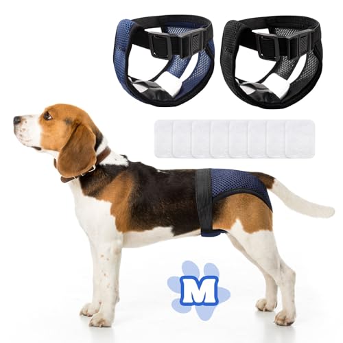 2 peças cuecas s menstruais, fraldas para cão feminino, fraldas para cães femininos, fraldas para cães femininos, cuecas para cães com céu feminino traz 8 toalhas sanitárias, reutilizável e