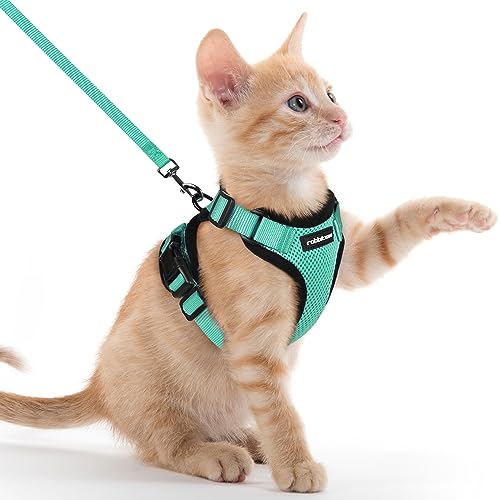 rabbitgoo Arnês para gatos anti-fuga com correia de 150 cm, arnês de gato ajustável refletor, colete de tecido de malha macio e respirável, arnês de gato pequeno para caminhar treino, XXS, verde