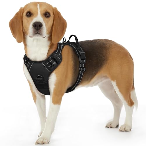 Eagloo Arnês para cães, colete anti-puxões confortável, com alça ajustável no pescoço e peito, apto para cães pequenos, material duradouro e respirável, com fita refletora, adequado para exercício no exterior, laranja