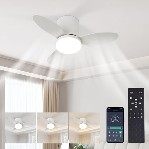 HaoDrisk Ventoinha de teto com luz, 65 cm, ventilador silencioso LED regulável com App&Controlo remoto, 3 cores e 6 velocidades com temporizador silencioso reversível