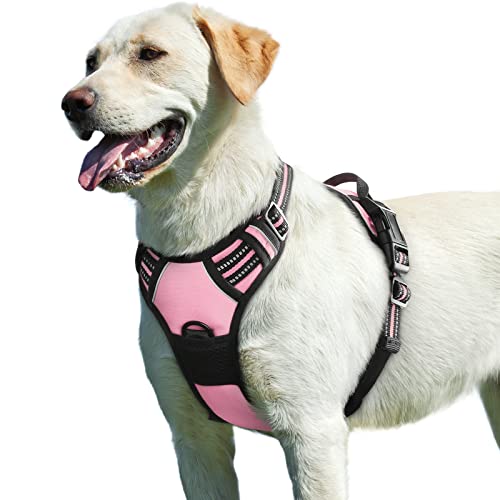 Eagloo Arnês para cães, colete anti-puxões confortável, com alça ajustável no pescoço e peito, apto para cães pequenos, material duradouro e respirável, com fita refletora, adequado para exercício no exterior, laranja