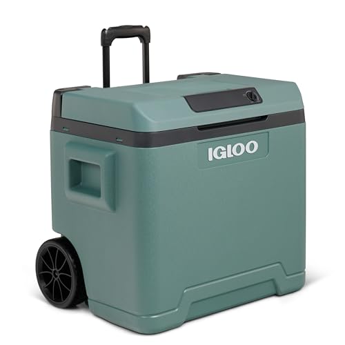 IGLOO IE42 Geladeira elétrica para carro e tomada, 42 L, 12 V e 230 V